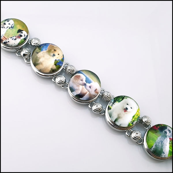 5 Snap Button Dog Bracelet Set