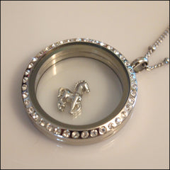Silver Horse Floating Charm - Find Something Special