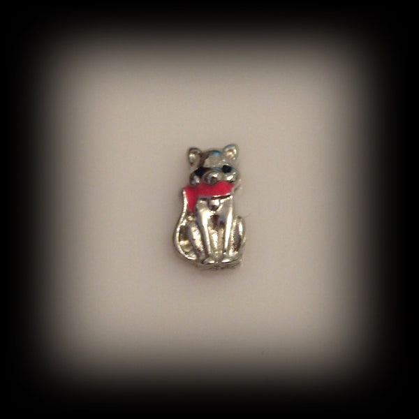 Cat Floating Charm