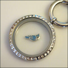 Blue Jay Floating Charm - Find Something Special